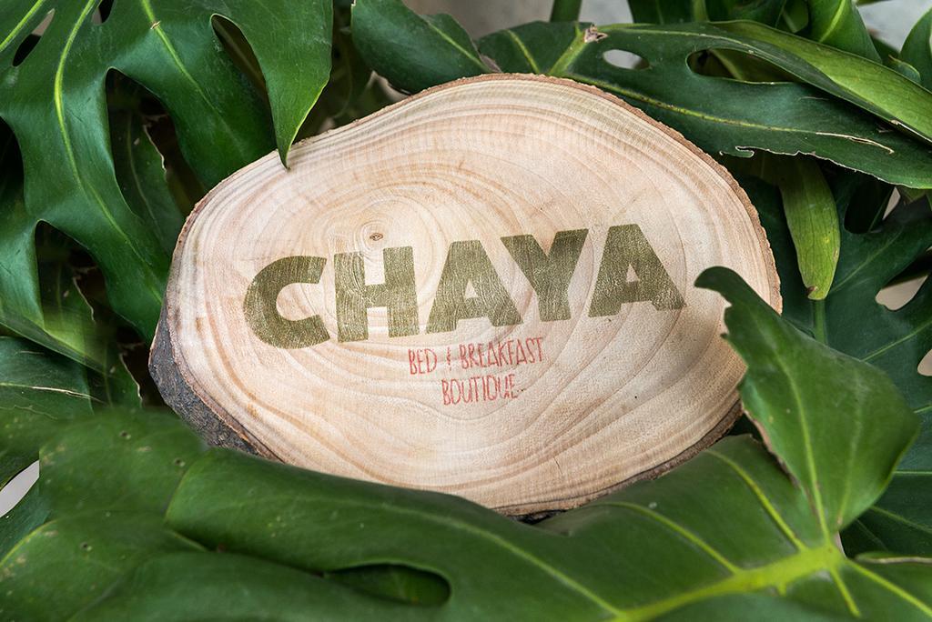 Chaya B&B Boutique Mexico City Room photo