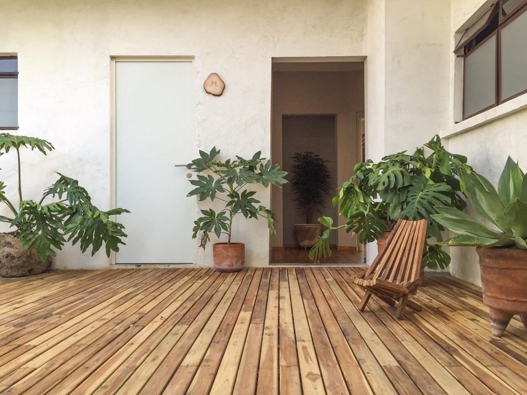 Chaya B&B Boutique Mexico City Exterior photo
