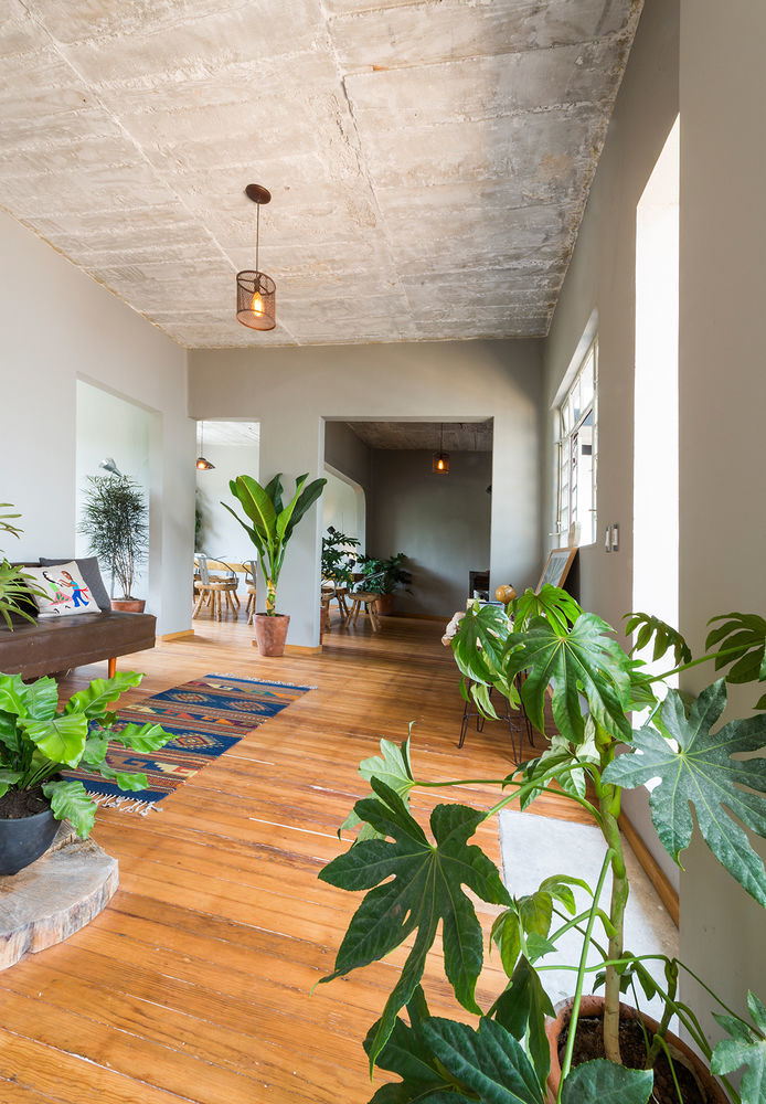 Chaya B&B Boutique Mexico City Exterior photo